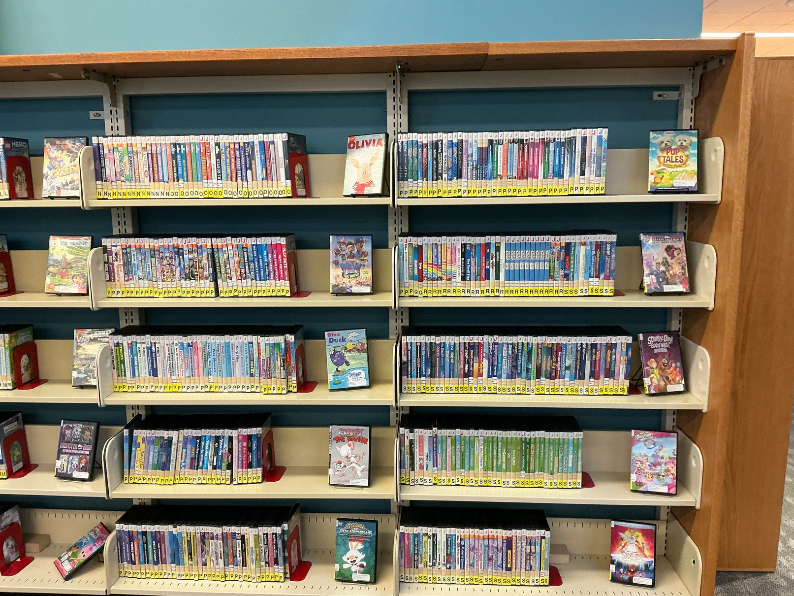 Shelves with DVDs