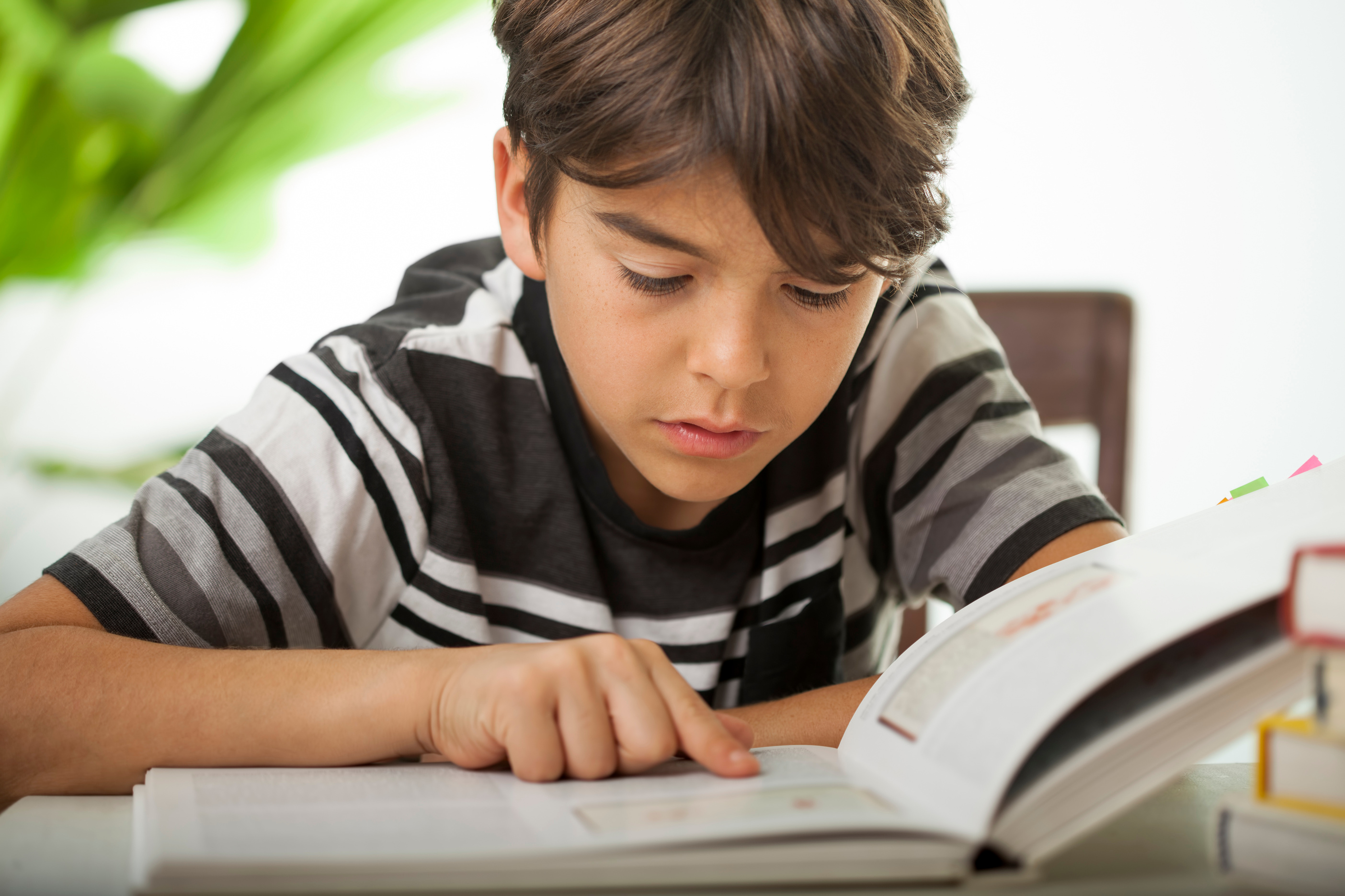 Boy reading book