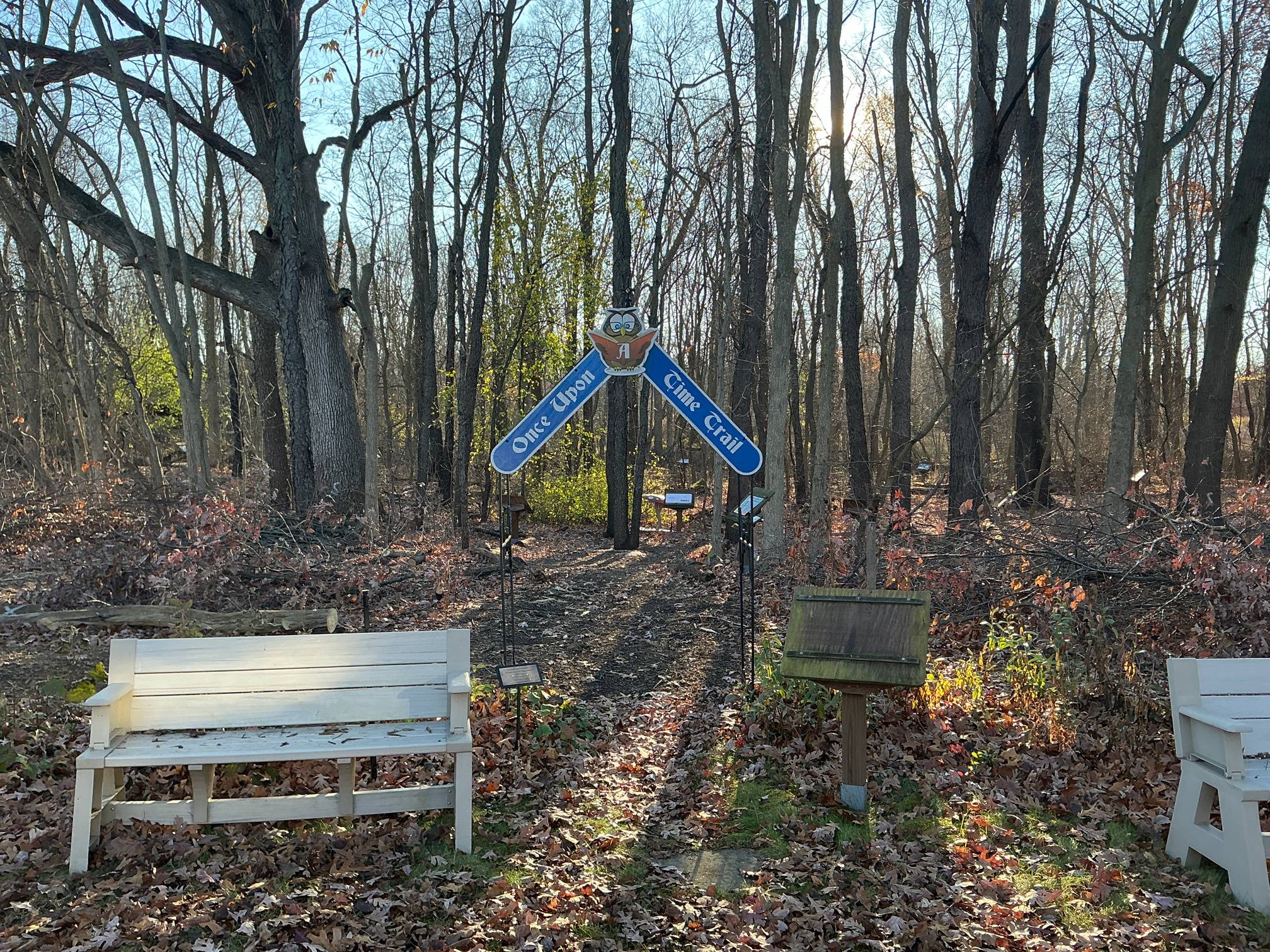 Trail through the woods with a large print story