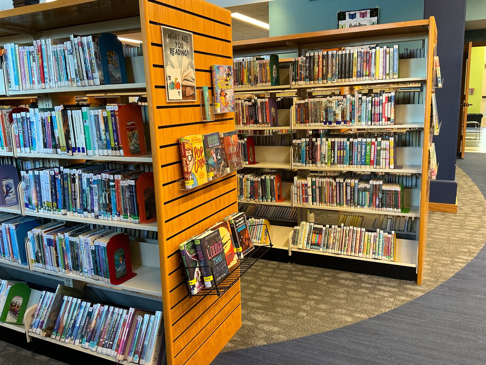 Shelves with Library Books